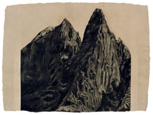 The Dru by Jon Bird