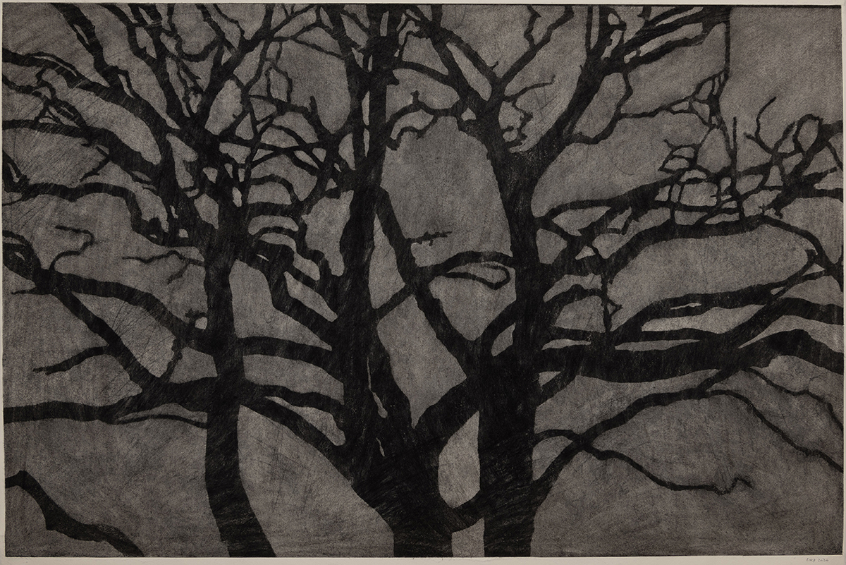 Dance of the Trees (2020). Charcoal on khadi paper, 69 x 105.5 cm.