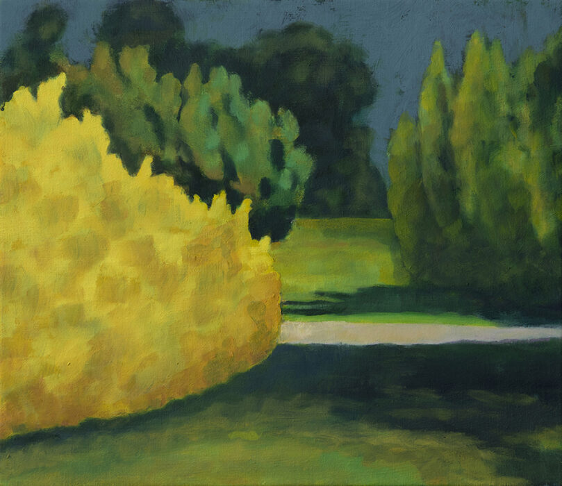 The Yellow Bush by Jon Bird