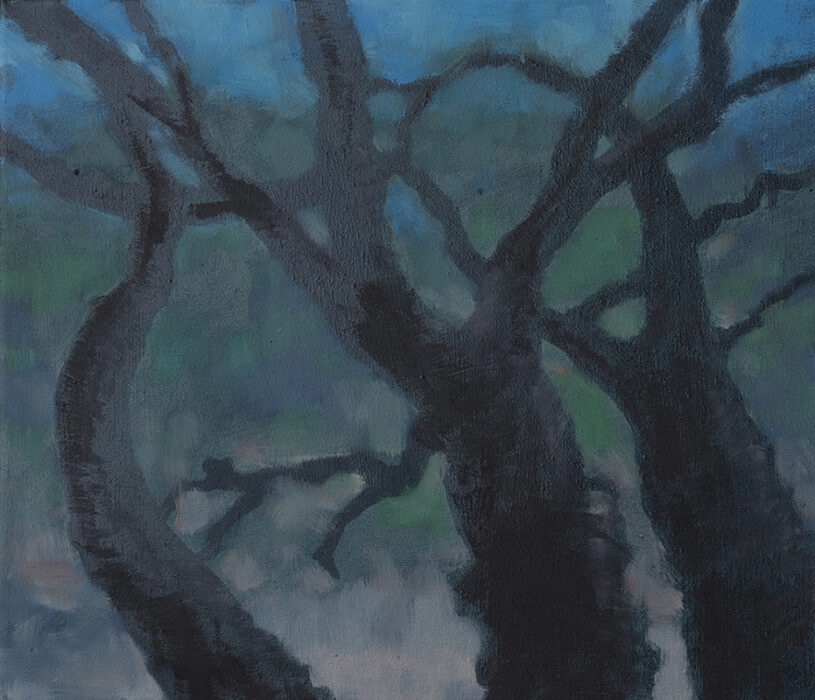 Arbor (2022). Oil on canvas, 30.5 x 36 cm.