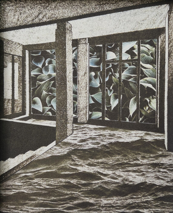 Haus Wittgenstein Project